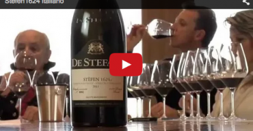 Video Stèfen 1624
