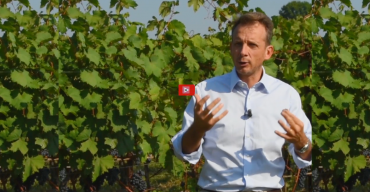 Video Tasting of the grapes