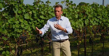 Tasting of the grapes