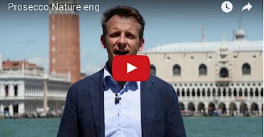 Video Prosecco Nature Millesimato