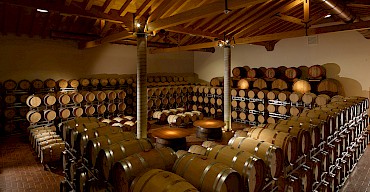 New Vintages Release