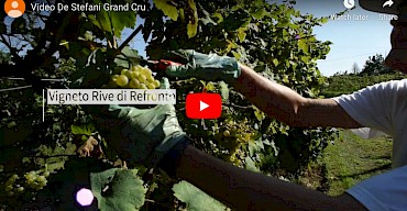 De Stefani Grand Cru Video