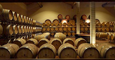 Our winery was featured in vinjournalen.se