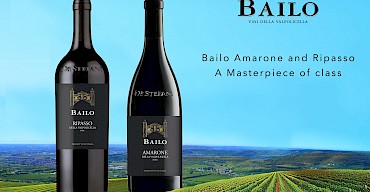 Bailo Brochure