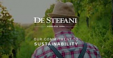 Sustainability